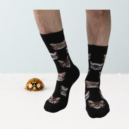 Calcetines para hombre en color negro con dibujos de gatos