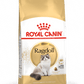 Royal Canin Adult Ragdoll 2 kg
