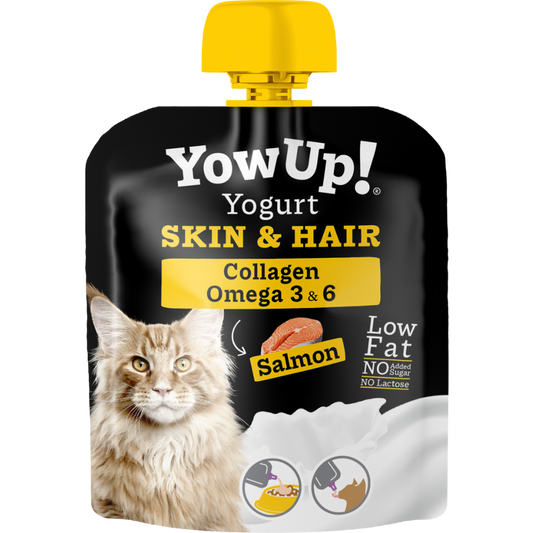 YowUP! Yogurt Salmón Skin & Hair 85g