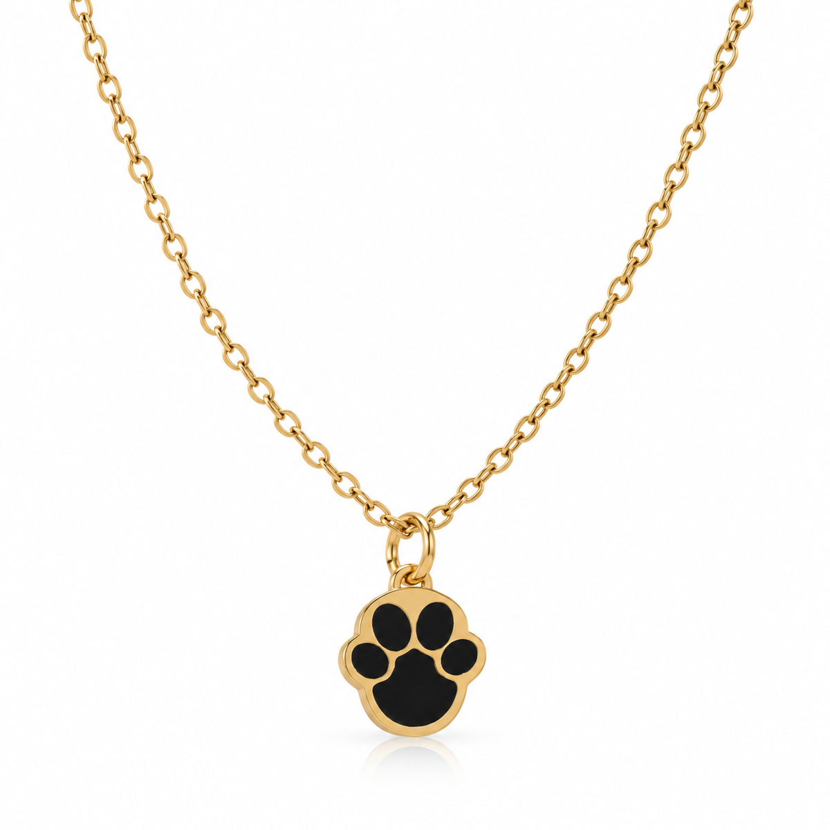 🐾 Collar Relicario Huella – Para Guardar sus Cenizas- Dorado.
