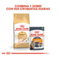 Royal Canin Adult Sphynx