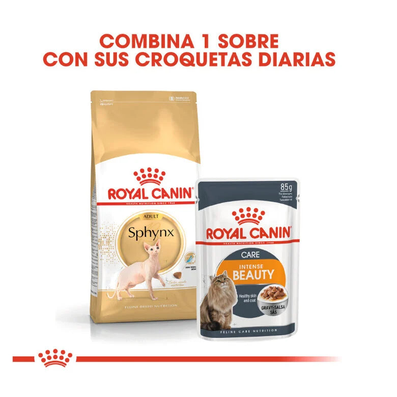 Royal Canin Adult Sphynx