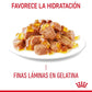 Royal Canin Hair & Skin Care 85 gr (Sobre gelatina)