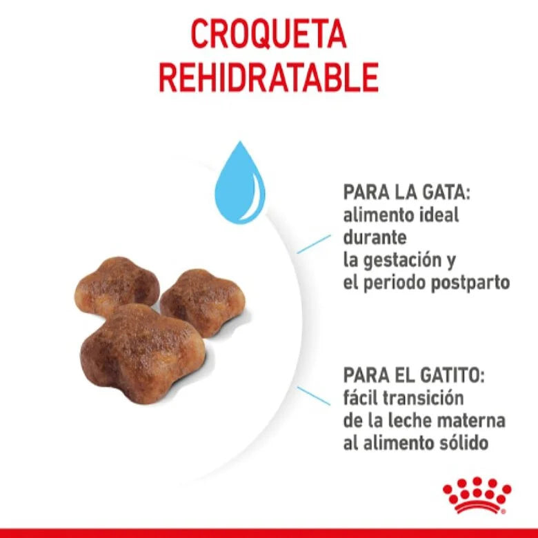 Royal Canin Mother & Babycat