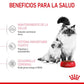 Royal Canin Mother & Babycat