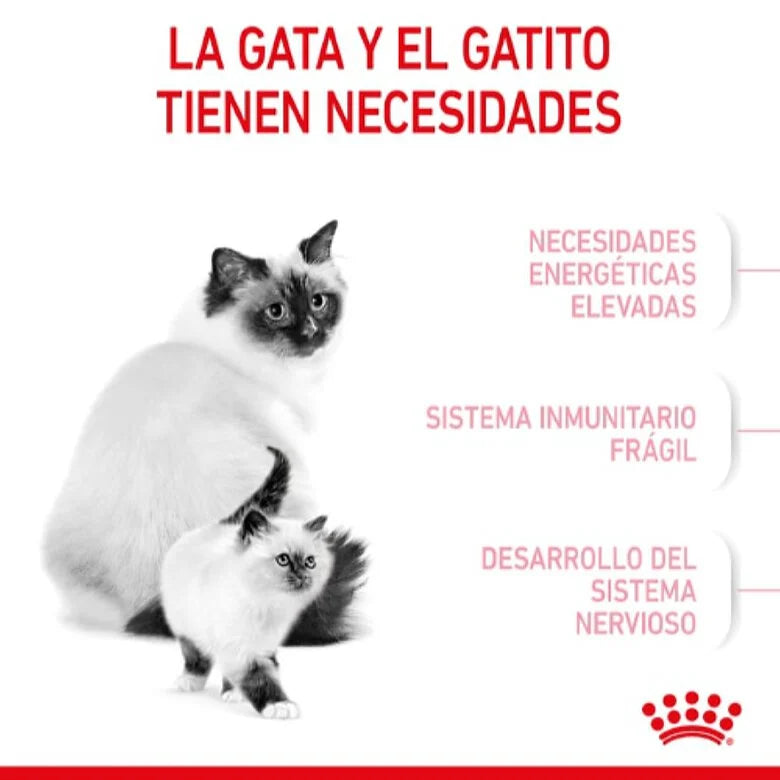 Royal Canin Mother & Babycat
