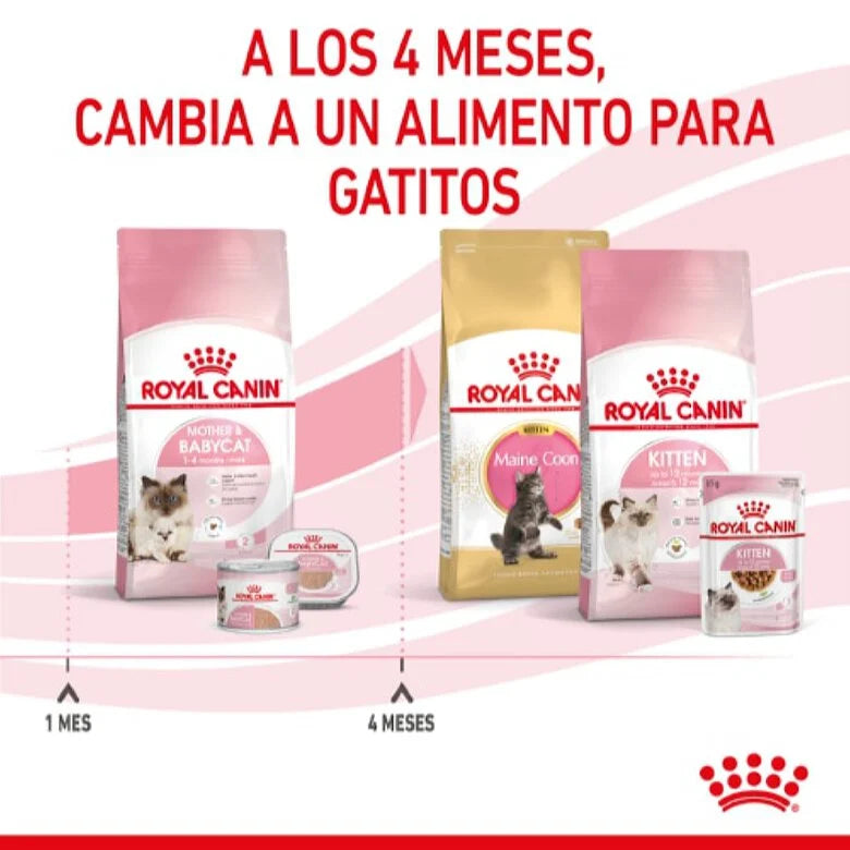 Royal Canin Mother & Babycat