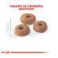 Royal Canin Regular Fit 32