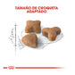 Royal Canin Regular Sensible 33