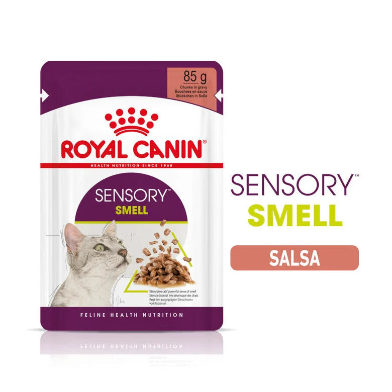 Royal Canin Sensory Smell 85 gr (Sobre salsa)