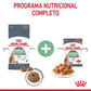 Royal Canin Digestive Sensitive Care 85 gr (Sobre salsa)