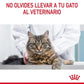 Royal Canin Digestive Sensitive Care 85 gr (Sobre salsa)