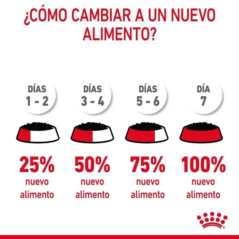 Royal Canin Digestive Sensitive Care 85 gr (Sobre salsa)