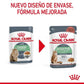 Royal Canin Digestive Sensitive Care 85 gr (Sobre salsa)