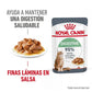 Royal Canin Digestive Sensitive Care 85 gr (Sobre salsa)