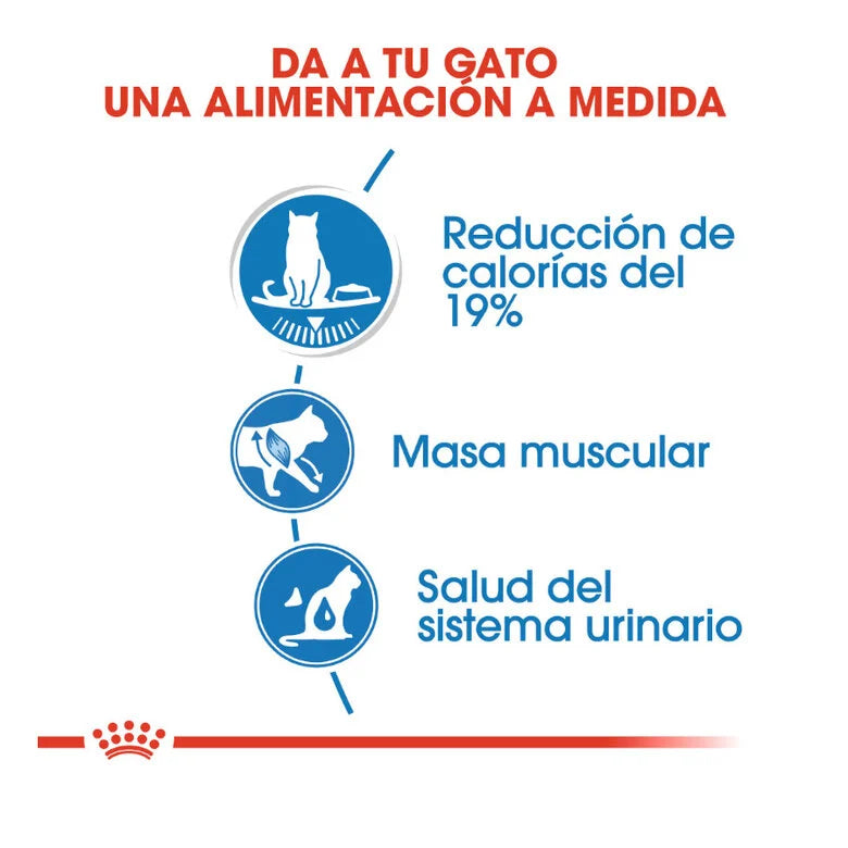 Royal Canin Adult Light Weight Care 85 gr (Sobre gelatina)
