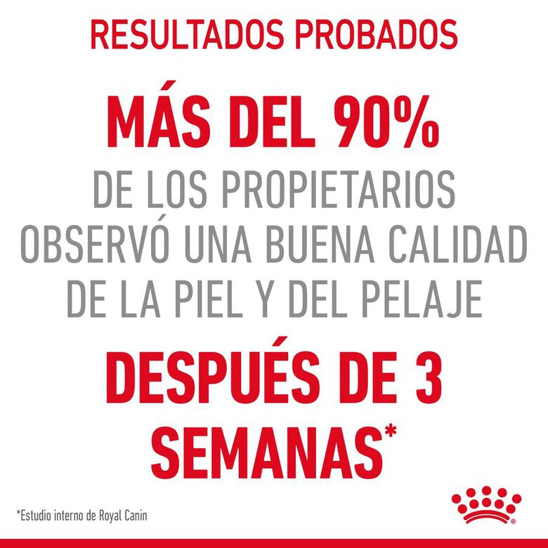 Royal Canin Hair & Skin Care 85 gr (Sobre gelatina)