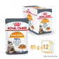 Royal Canin Hair & Skin Care 85 gr (Sobre gelatina)