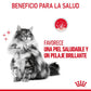 Royal Canin Hair & Skin Care 85 gr (Sobre gelatina)