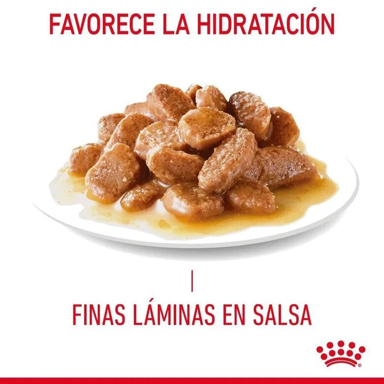 Royal Canin Adult Hairball Care 85 gr (Sobre en salsa)
