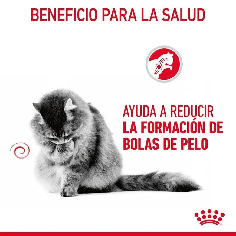 Royal Canin Adult Hairball Care 85 gr (Sobre en salsa)