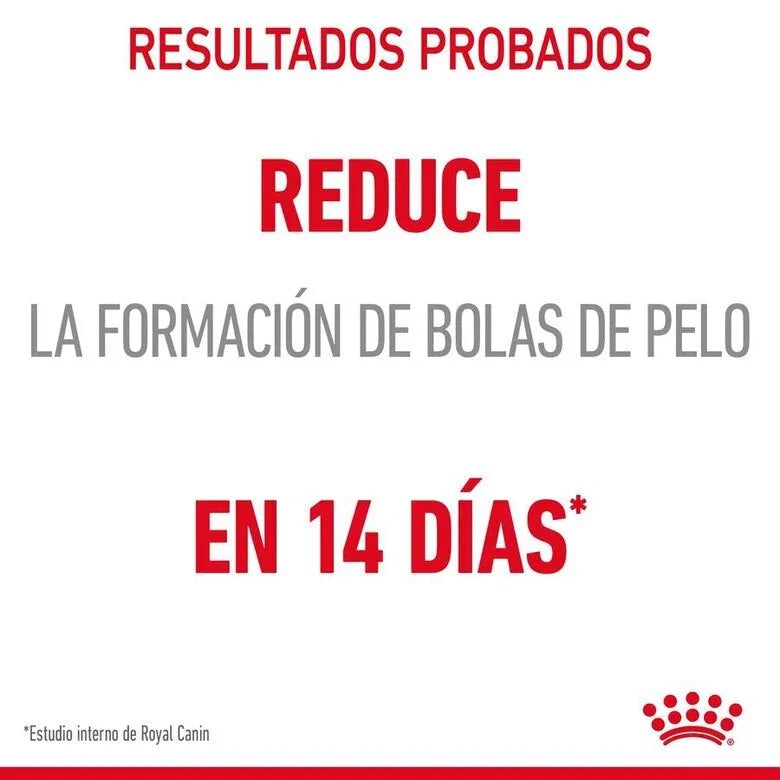 Royal Canin Adult Hairball Care 85 gr (Sobre en salsa)