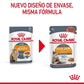 Royal Canin Hair & Skin Care 85 gr (Sobre salsa)