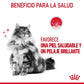 Royal Canin Hair & Skin Care 85 gr (Sobre salsa)
