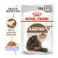 Royal Canin Senior Ageing +12 85 gr (Sobre gelatina)