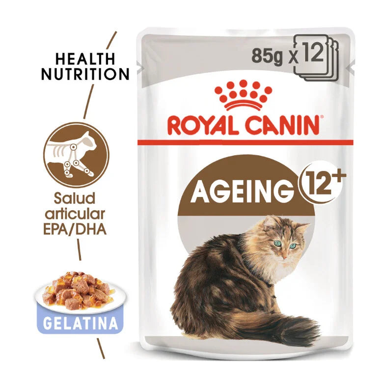 Royal Canin Senior Ageing +12 85 gr (Sobre gelatina)