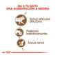 Royal Canin Senior Ageing +12 85 gr (Sobre gelatina)