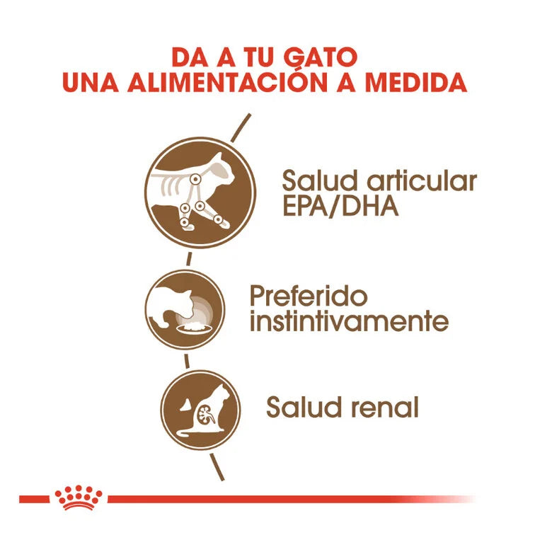 Royal Canin Senior Ageing +12 85 gr (Sobre gelatina)