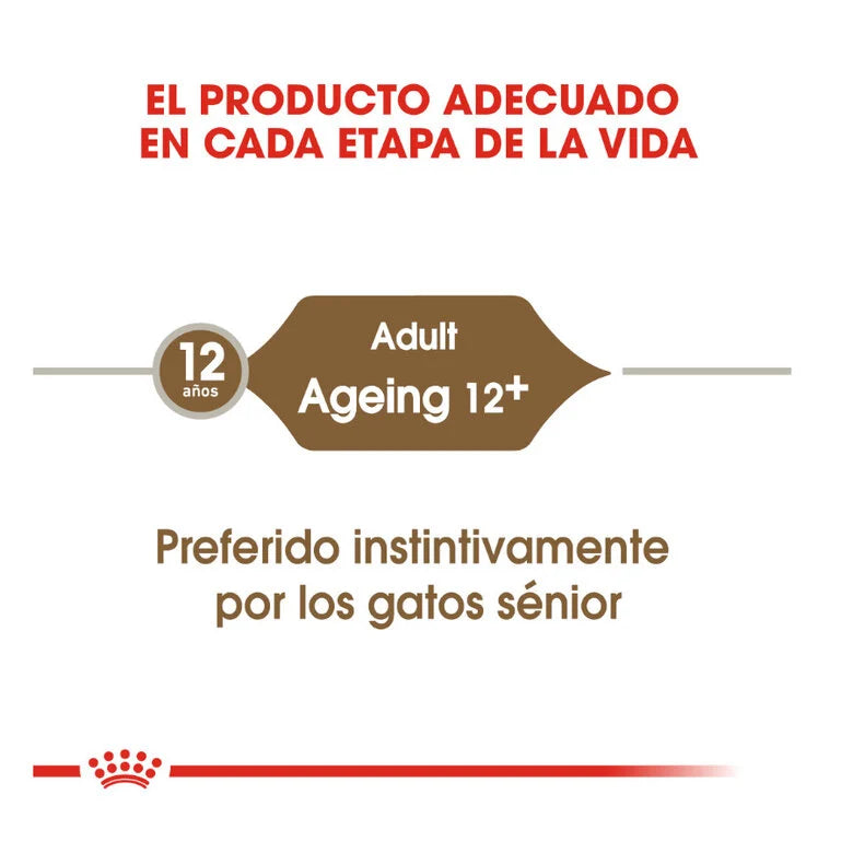 Royal Canin Senior Ageing +12 85 gr (Sobre gelatina)