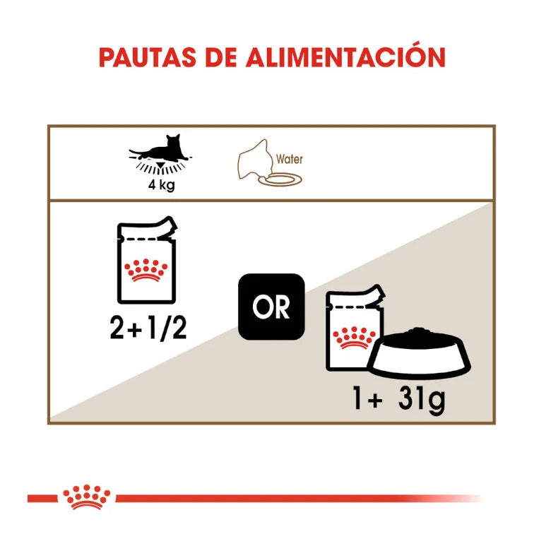 Royal Canin Senior Ageing +12 85 gr (Sobre gelatina)
