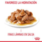 Royal Canin Appetite Control Care 85 gr (Sobre salsa)