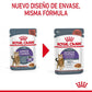 Royal Canin Appetite Control Care 85 gr (Sobre salsa)