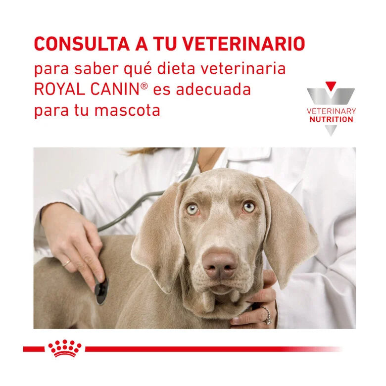 Royal Canin Veterinary Recovery Dog/Cat 195 gr (Lata mousse ultra suave)