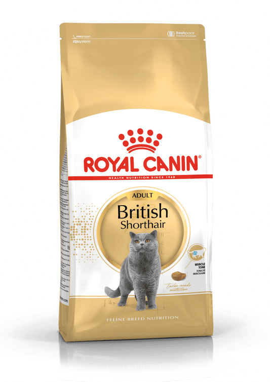 Royal Canin Adult British Shorthair 10 kg - Chema y su manada