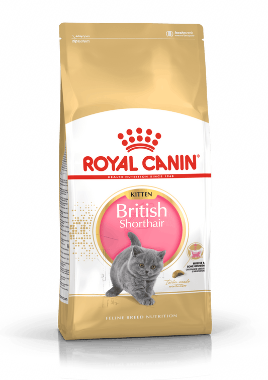 Royal Canin Adult British Shorthair 2 kg - Chema y su manada