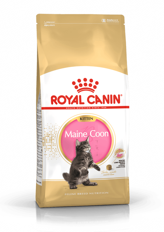 Royal Canin Kitten Maine Coon 10 kg - Chema y su manada