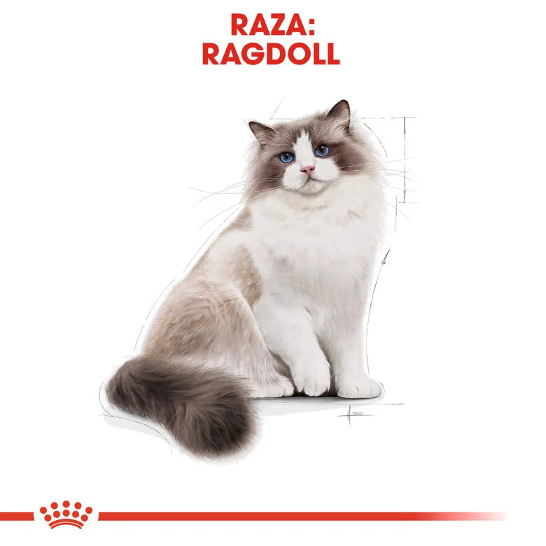 Royal Canin Adult Ragdoll 2 kg