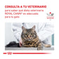 Royal Canin Veterinary Renal Special Cat