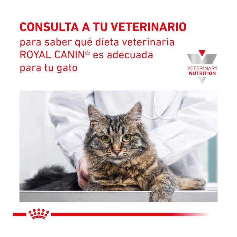 Royal Canin Veterinary Renal Special Cat