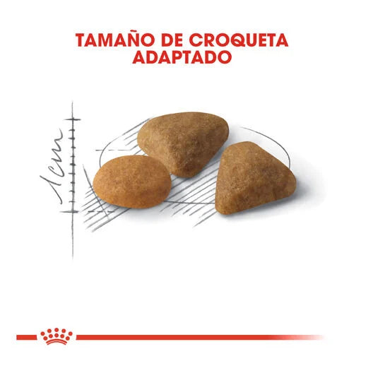 Royal Canin Adult Savour Exigent