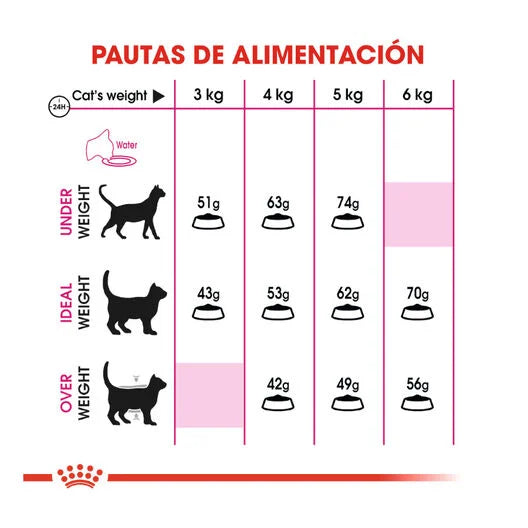 Royal Canin Adult Savour Exigent
