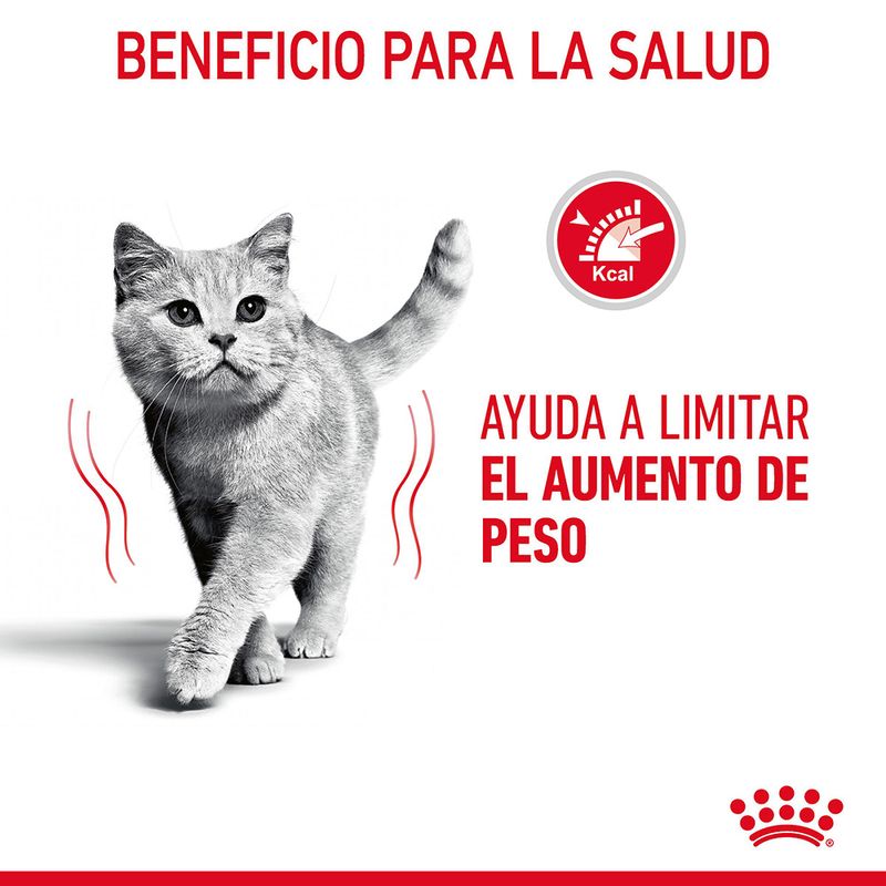 Royal Canin Adult Light Weight Care 85 gr (Sobre finas láminas en salsa)