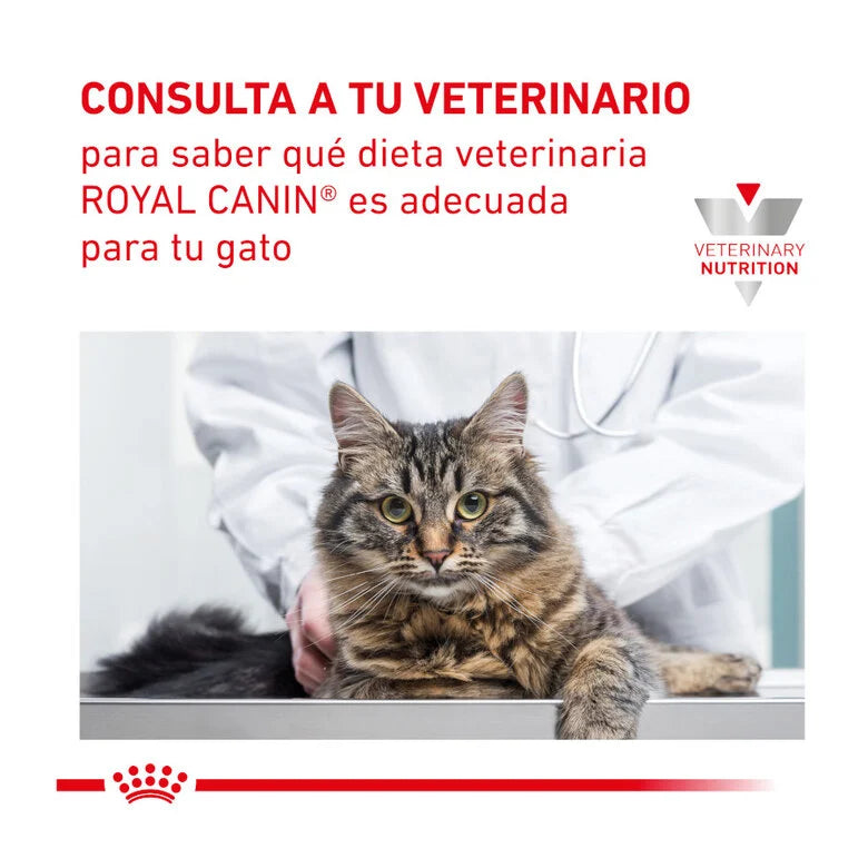 Royal Canin Veterinary Renal Select Cat