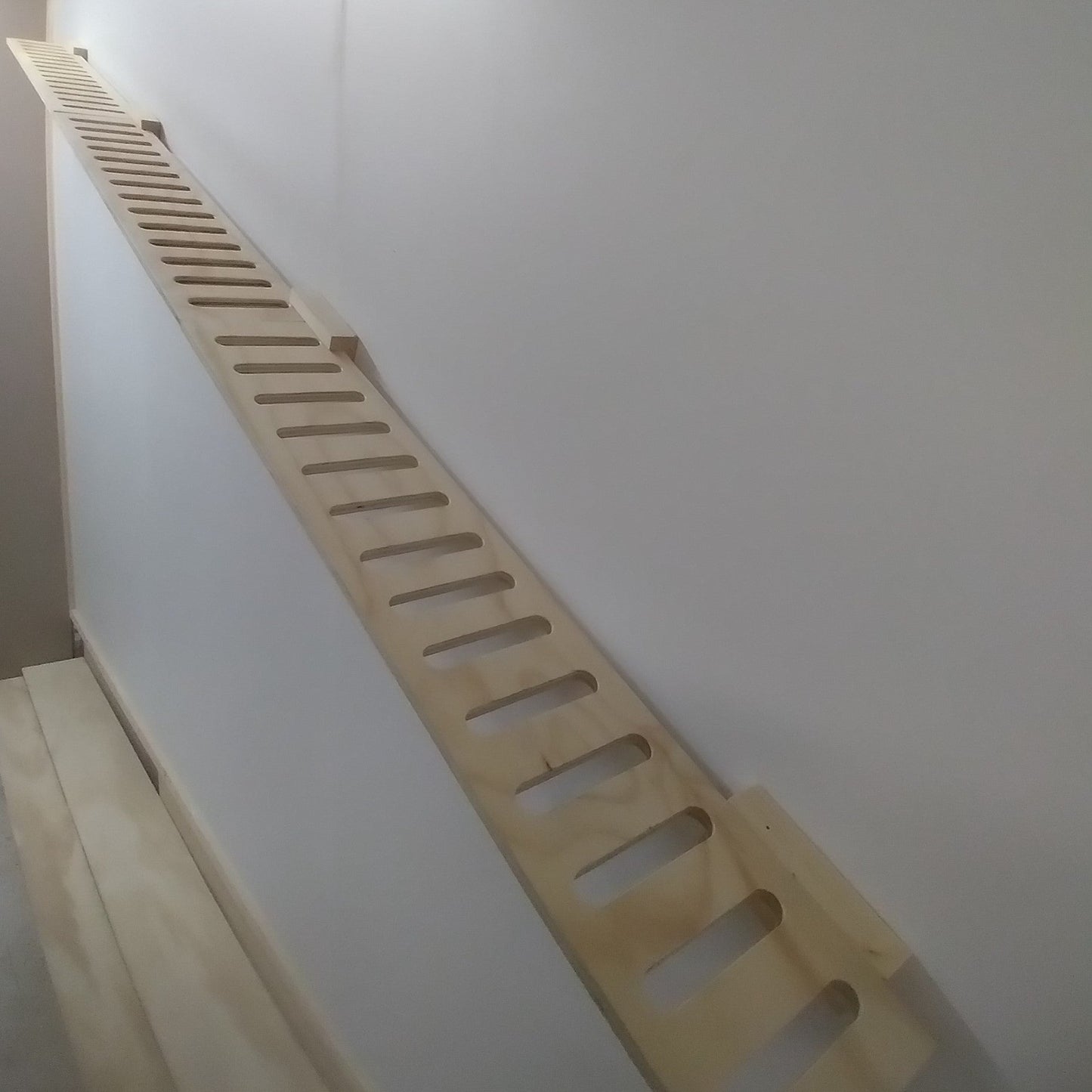 Escalera Plana Multiposición para Gatos